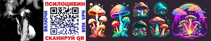 Галлюциногенные грибы Psilocybine cubensis  где найти наркотики  omg зеркало  Красногорск 